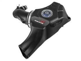 Momentum GT Pro 5R Air Intake System 50-70050R